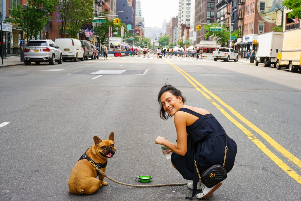 Common Dog Health Problems And The Products That Can Help FetchStop common-dog-health-problems-and-the-products-that-can-help-fetchstop