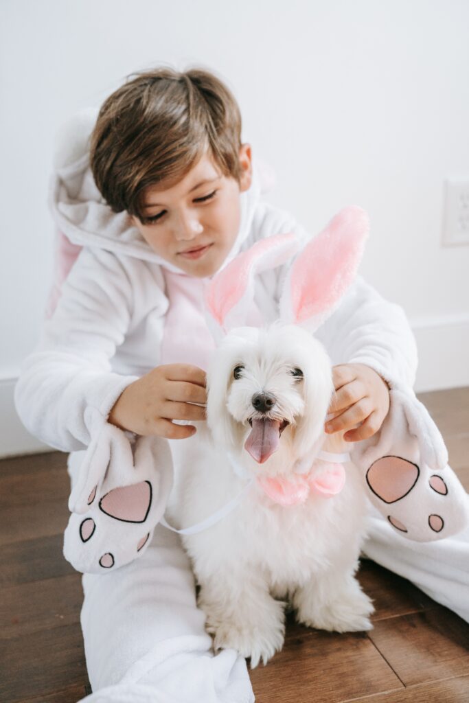 Tips for wearing your dog to wear nappies