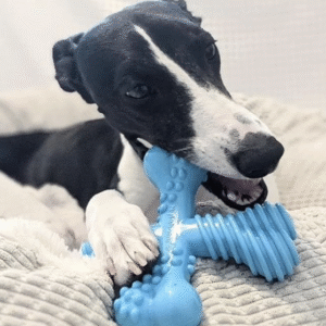 Nylabone Extreme Tough Dog Chew Toy