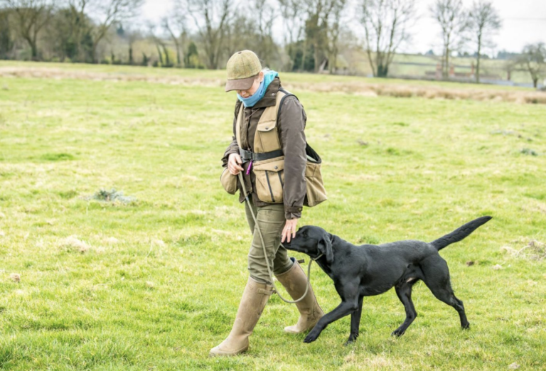 Understanding Pet Insurance: Is It Worth It for Your Dog?