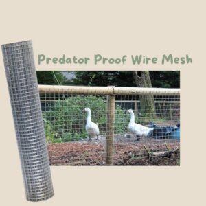 Suregreen Galvanised Wire Mesh Roll | 0.9m x 30m | 25mm Holes | 19 Gauge | Welded Wire