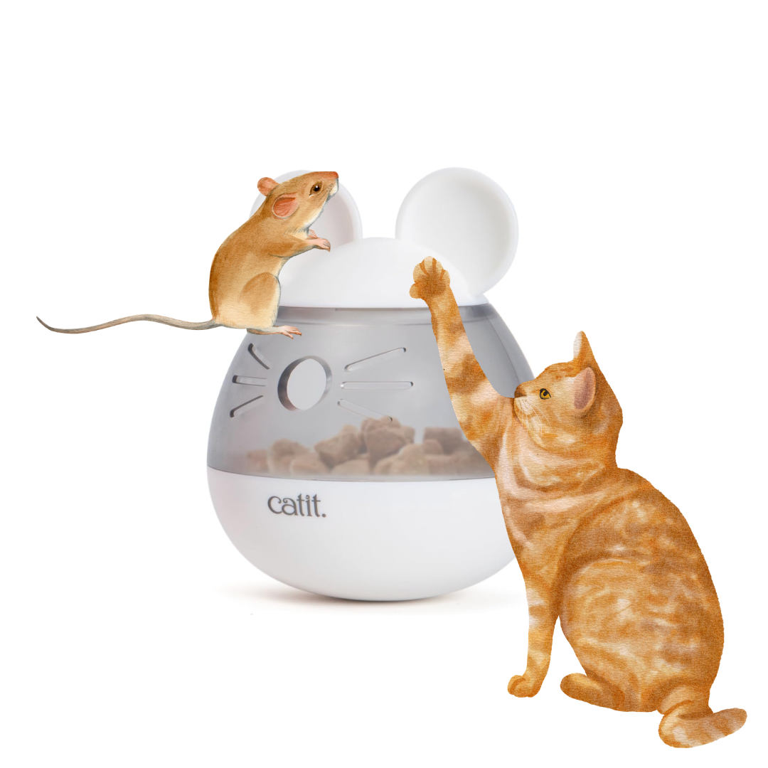 Cat Toys in UK