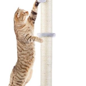 Dimaka 29" Tall Cat Scratching Post, Claw Scratcher Sisal Rope Covered Soft Smooth Plush, Vertical Scratch [Full Strectch]