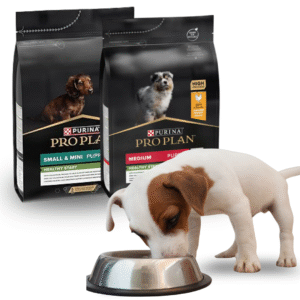 nutritional puppy food kibble