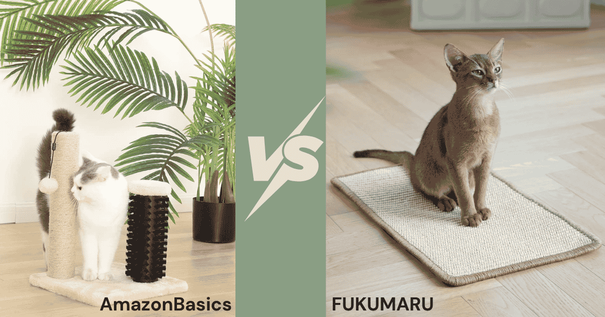 Best Cat Scratching Posts