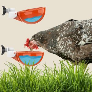Large Automatic Chicken Waterer Cups