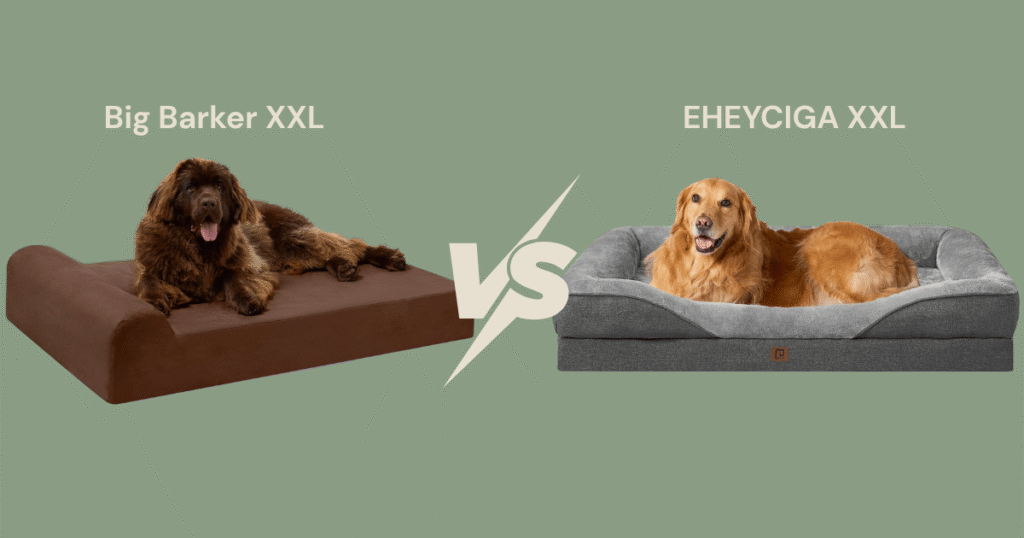 Best Dog Beds for Alabai & Large Dogs UK (2026 Comparison)