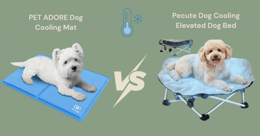 Best Cooling Dog Beds for the UK Summer 2026: Compare the Top Picks