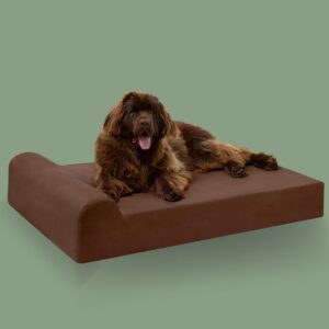 Pillow Top Orthopedic Dog Bed