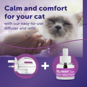 FELIWAY Classic 30 Day Cat Calming Plug In Pheromone Diffuser Starter Kit, 48ml - Helps Solve Common Signs of Stress in Cats & Kittens, Veterinary Recommended, Clinically Proven