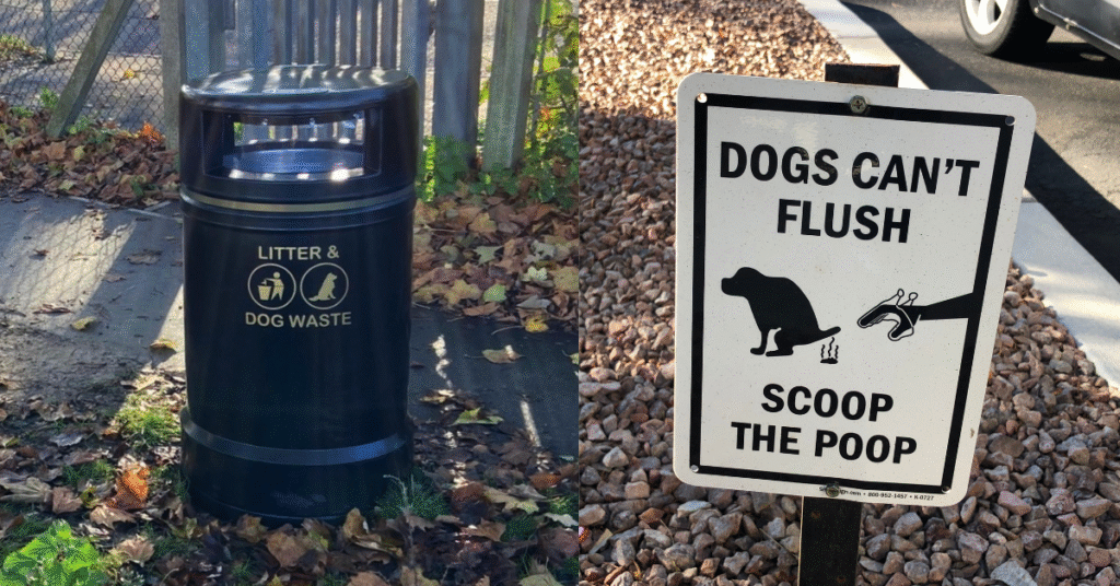 Dog Poop Dustbin in UK
