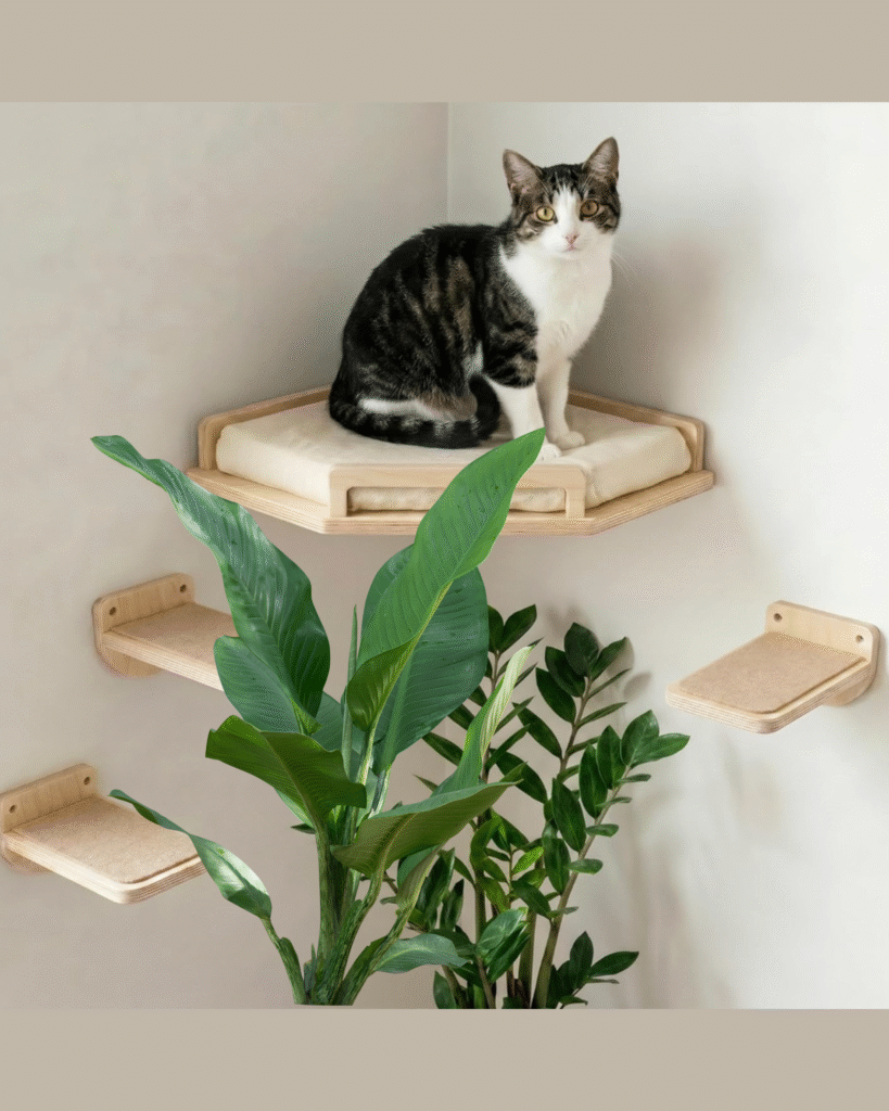 Why Is My Cat So Anxious? 5 Proven Ways to Help