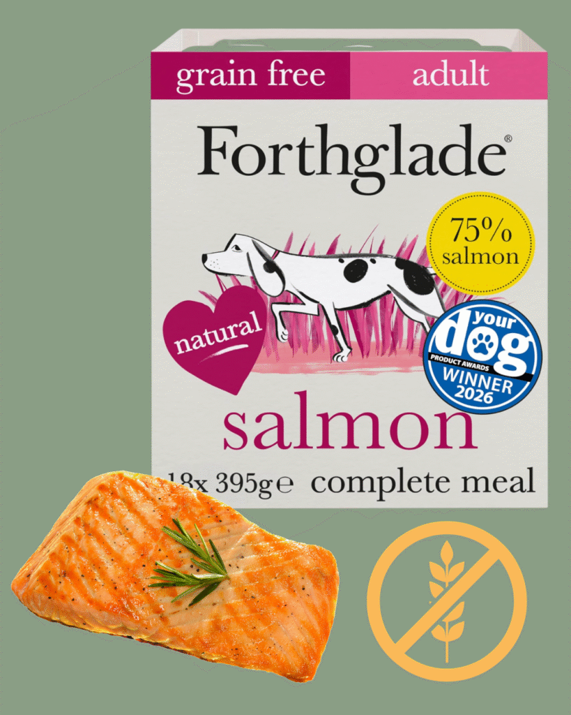 Food for Dog Itchy Skin