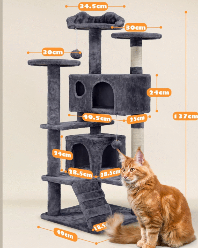 Why Is My Cat So Anxious? 5 Proven Ways to Help