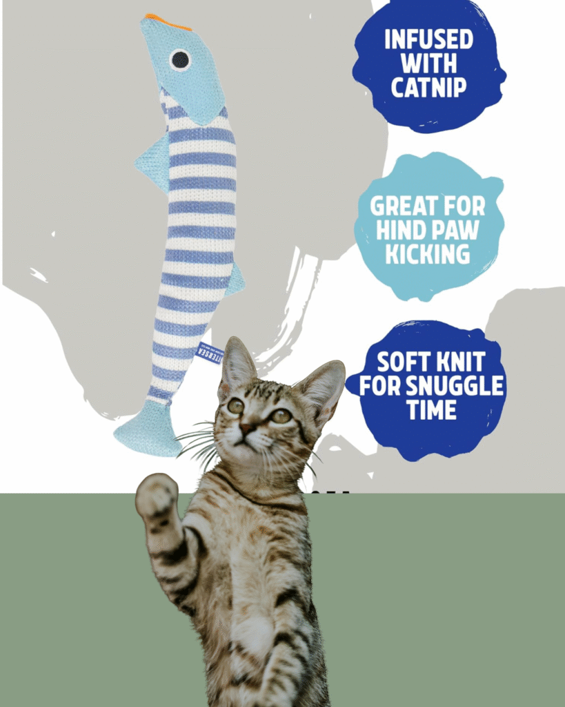 Toys for Bored Indoor cats
