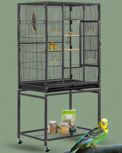 Best Cage for Parakeet