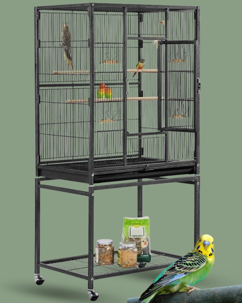 Best Cage for Parakeet