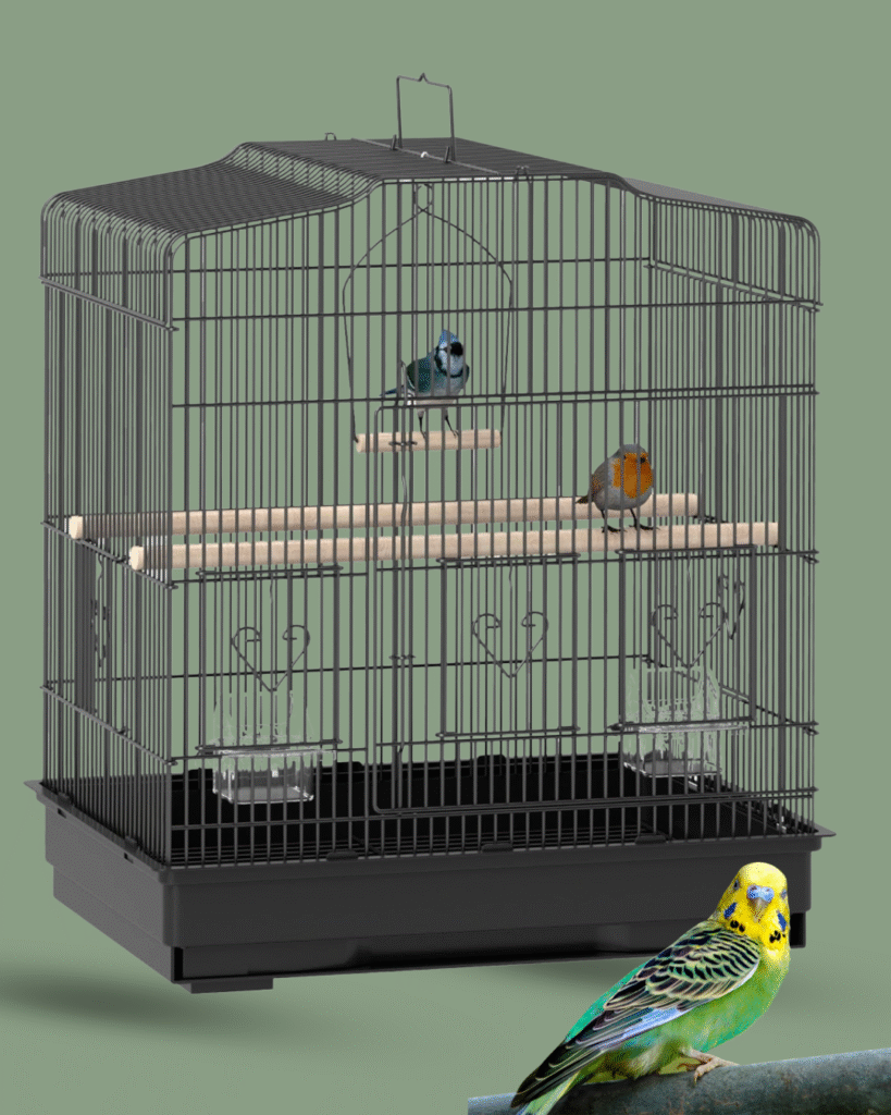 Best Cage for Parakeet