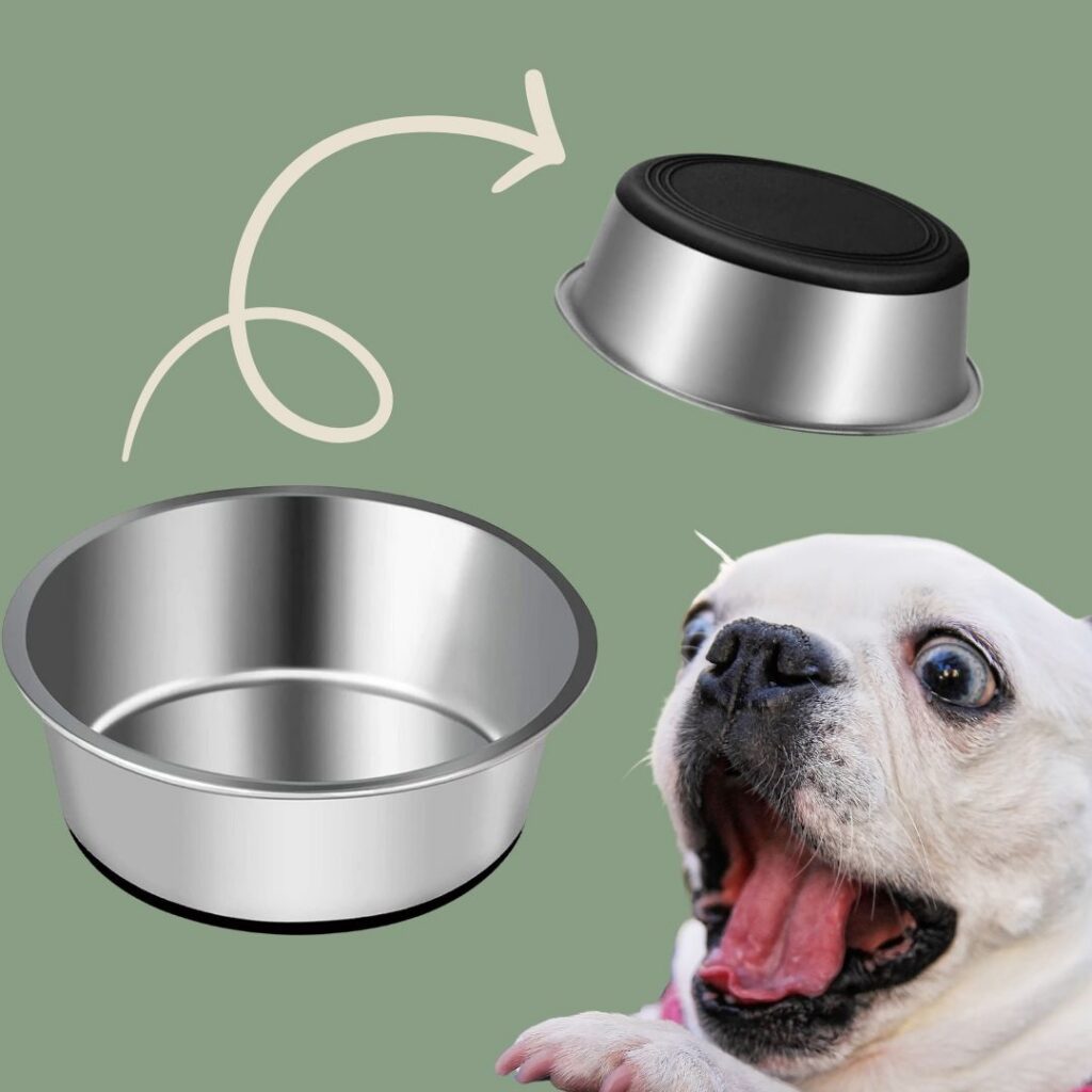 classic dog bowl