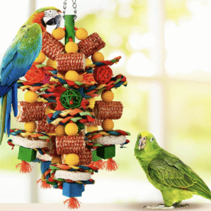 Chew Toys for African Grey Parrots