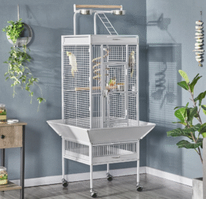 Best Cage for Parakeet