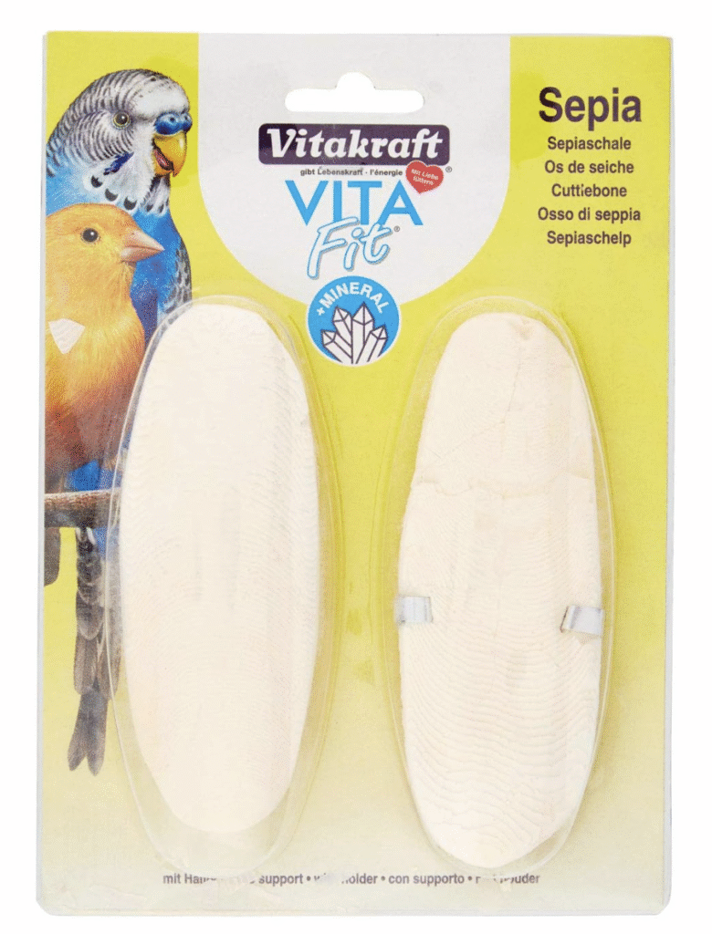 Best Cage for Parakeet