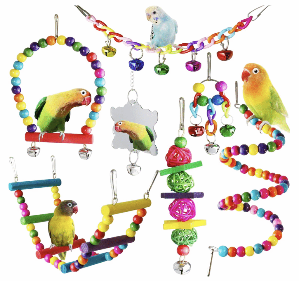 Best cage for Parakeet