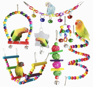 Best cage for Parakeet