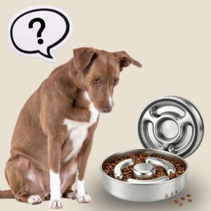 stainless steel slow dog feeder