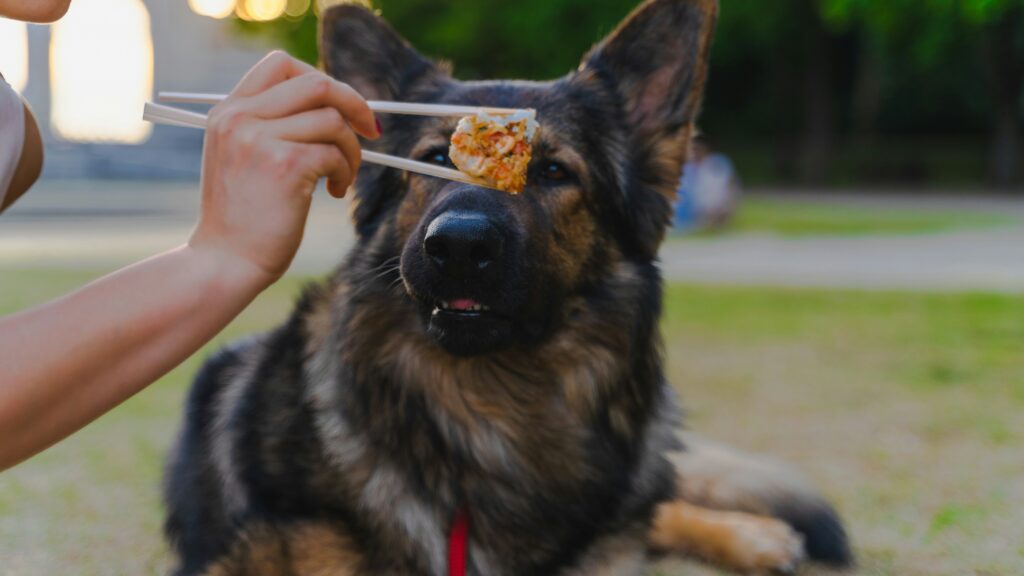 guard dogs diet