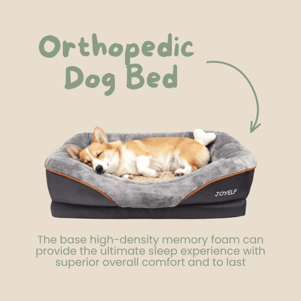 JOYELF Medium Memory Foam Dog Bed, Orthopedic Dog Bed & Sofa with Removable Washable Cover and Squeaker Toys as Gift