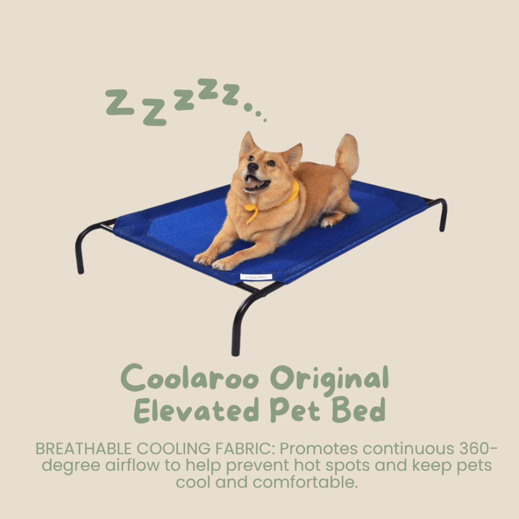 Coolaroo The Original Cooling Elevated Pet Bed, Aquatic Blue, Large