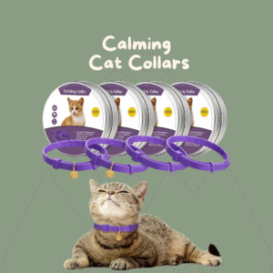 Calming Cat collar UK