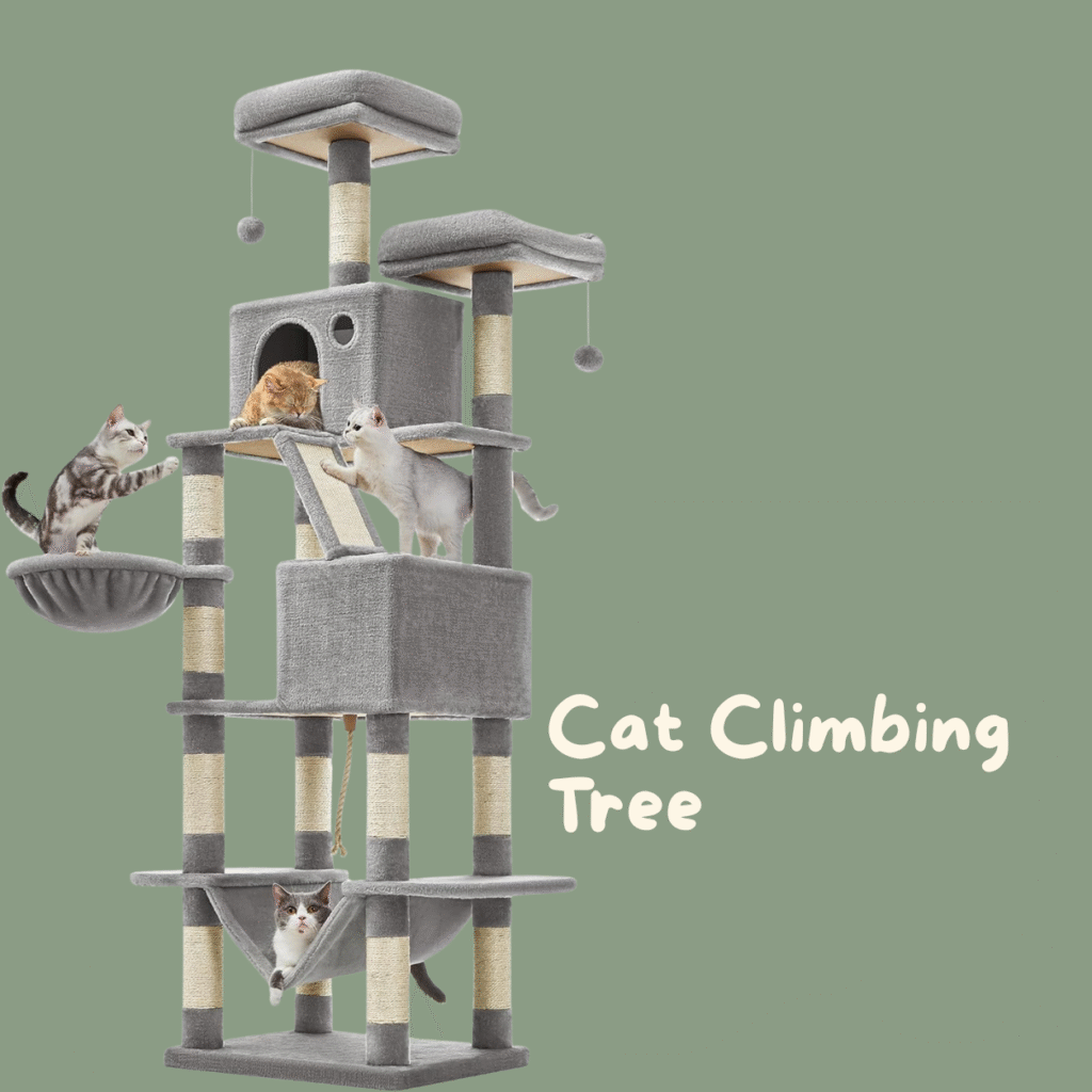 Cat climing tree for cats for playtime