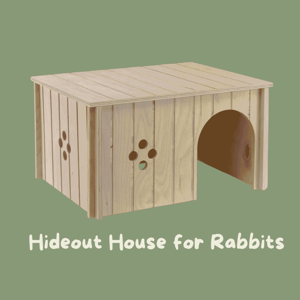 A cute hideout house for rabbits UK Amazon