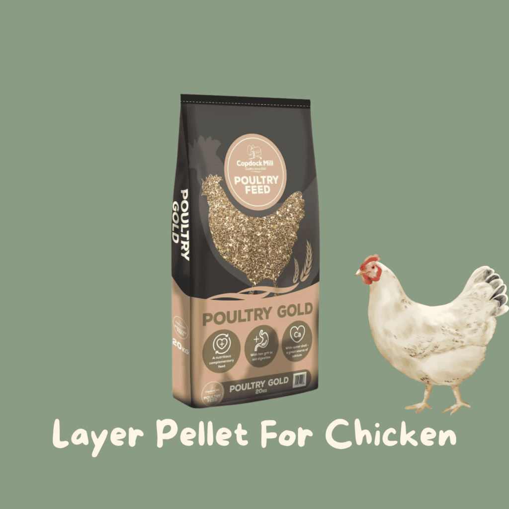 Layer Pellet for chicken amazon uk