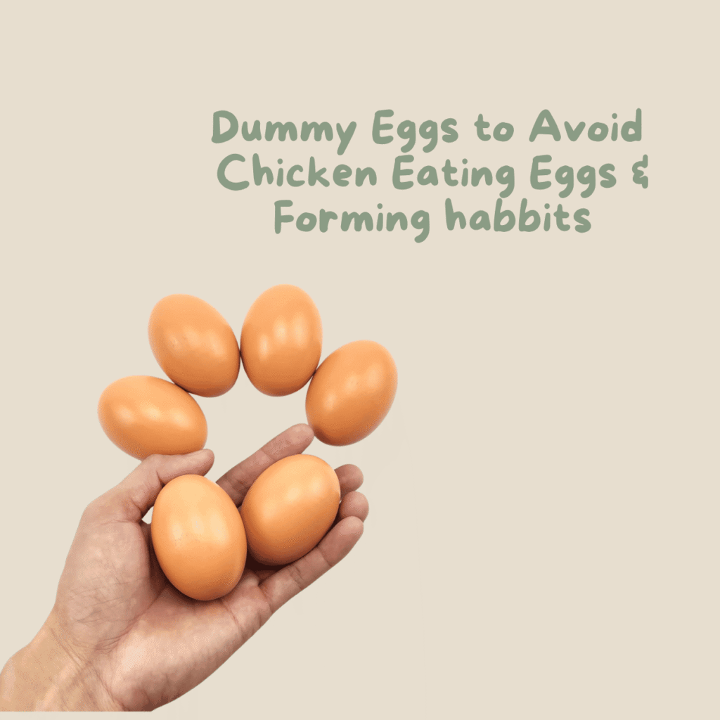 Dummy chicken eggs UK amazon