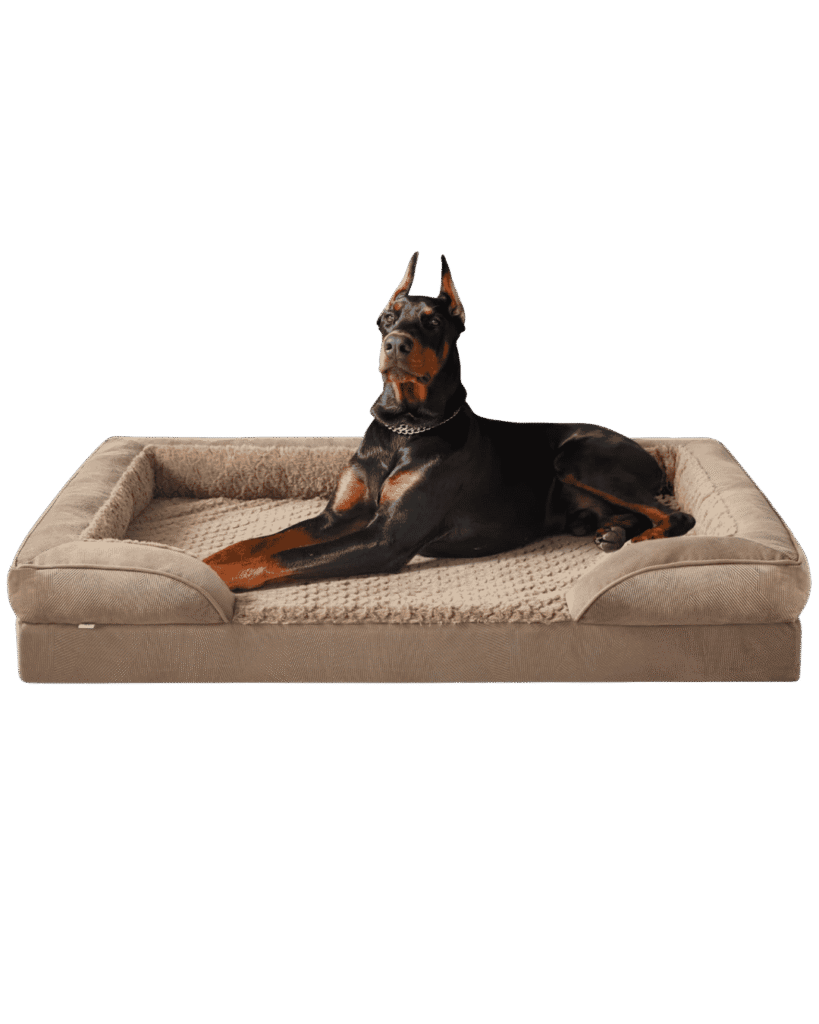 Alabai Dog Beds