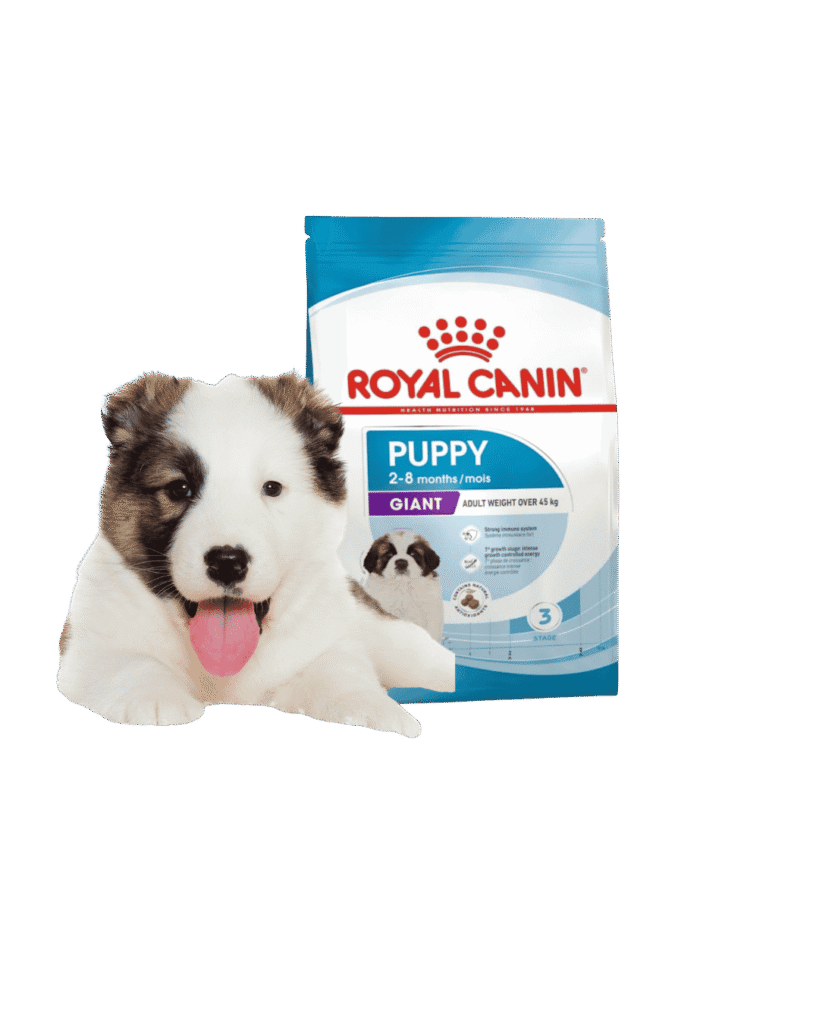 Guard Dogs Diet