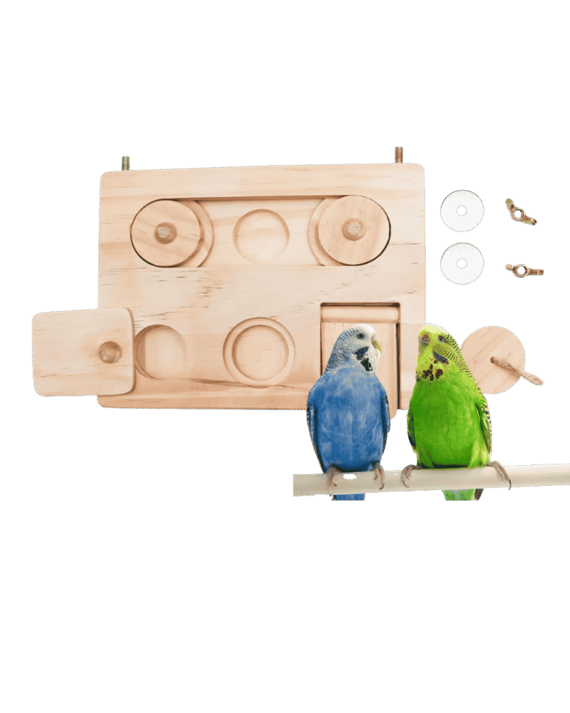 Foraging Toys for Budgies