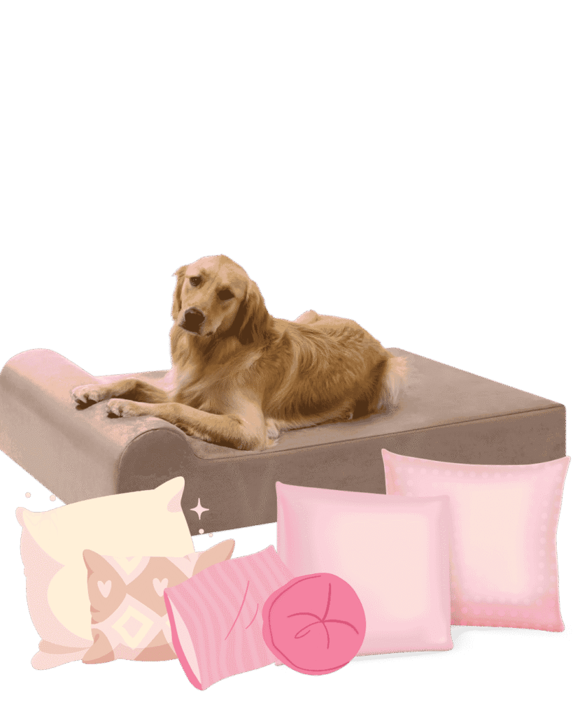 Dog Beds in UK