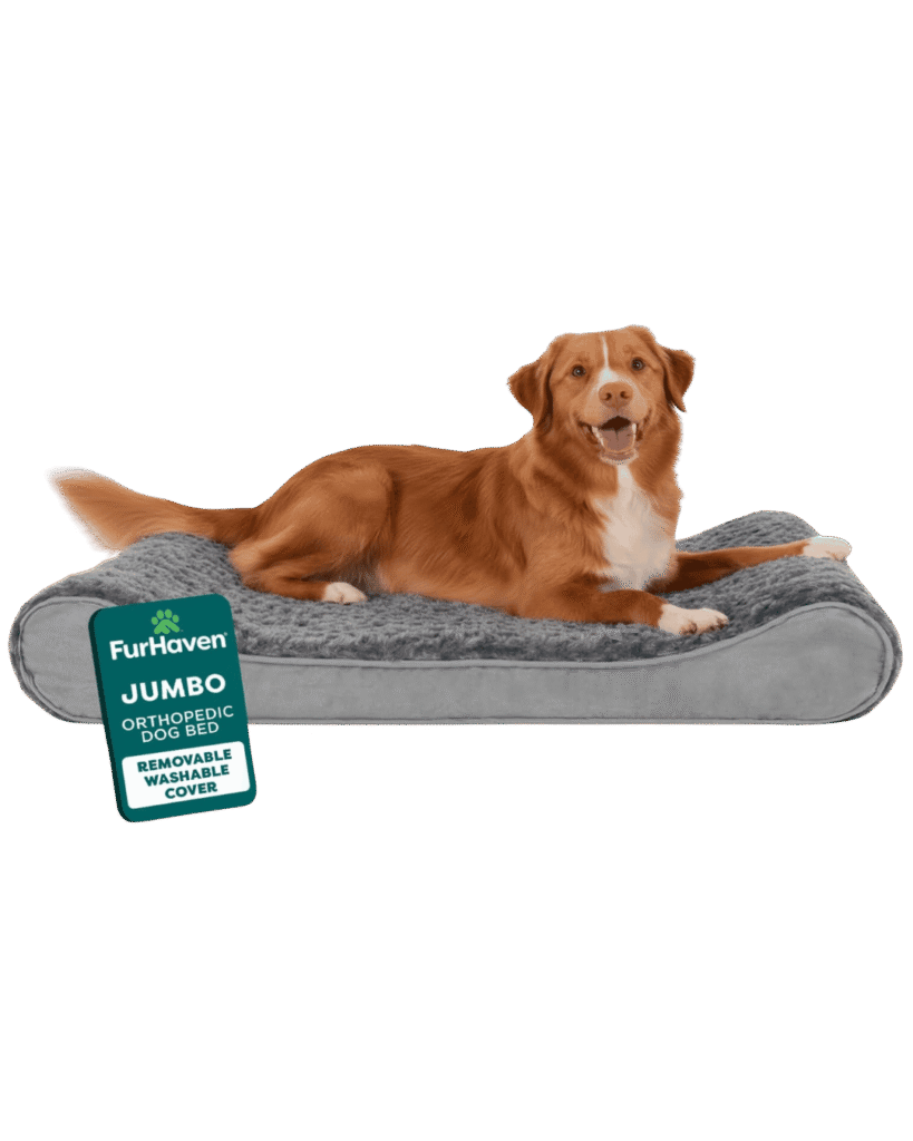 Alabai Dog Beds
