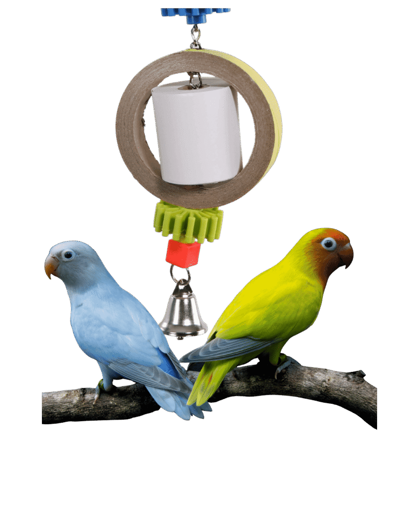 Foraging Toys for Budgies