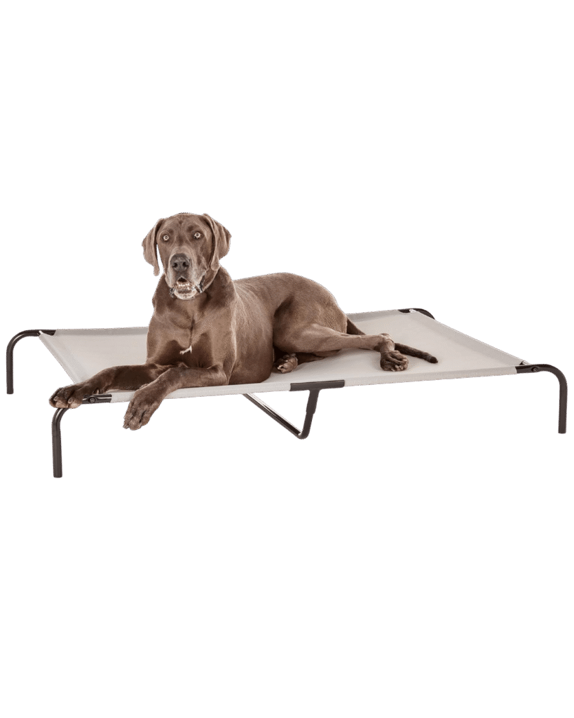 Alabai Dog Beds