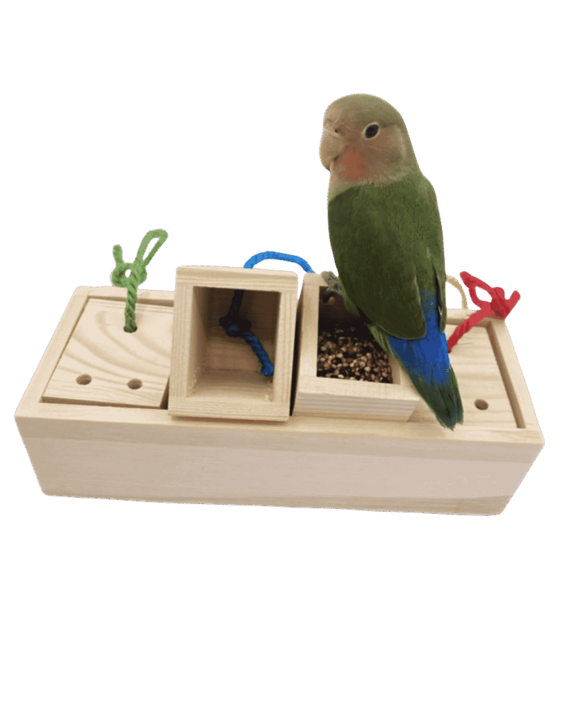 Foraging Toys for Budgies