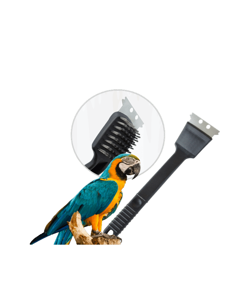Bird cage liners