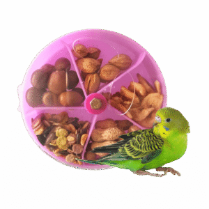 Foraging Toys for Budgies