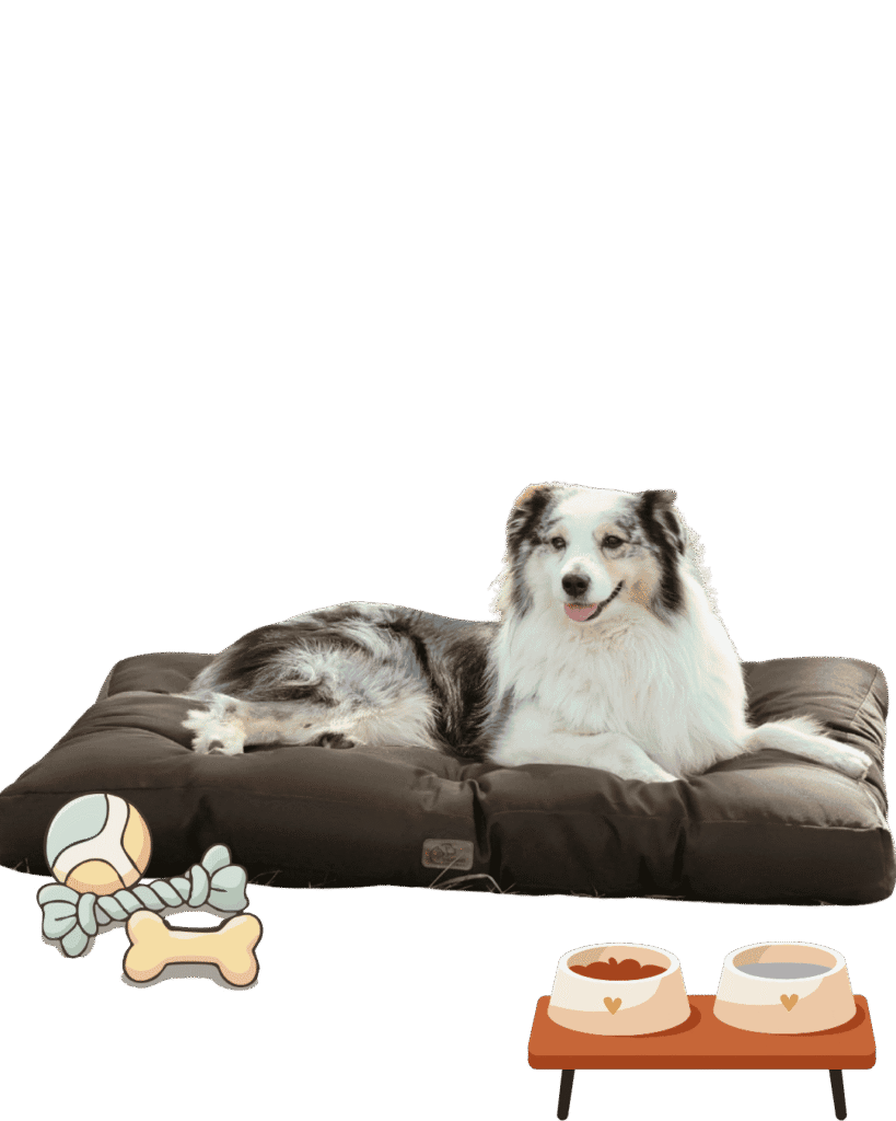Dog Beds in UK