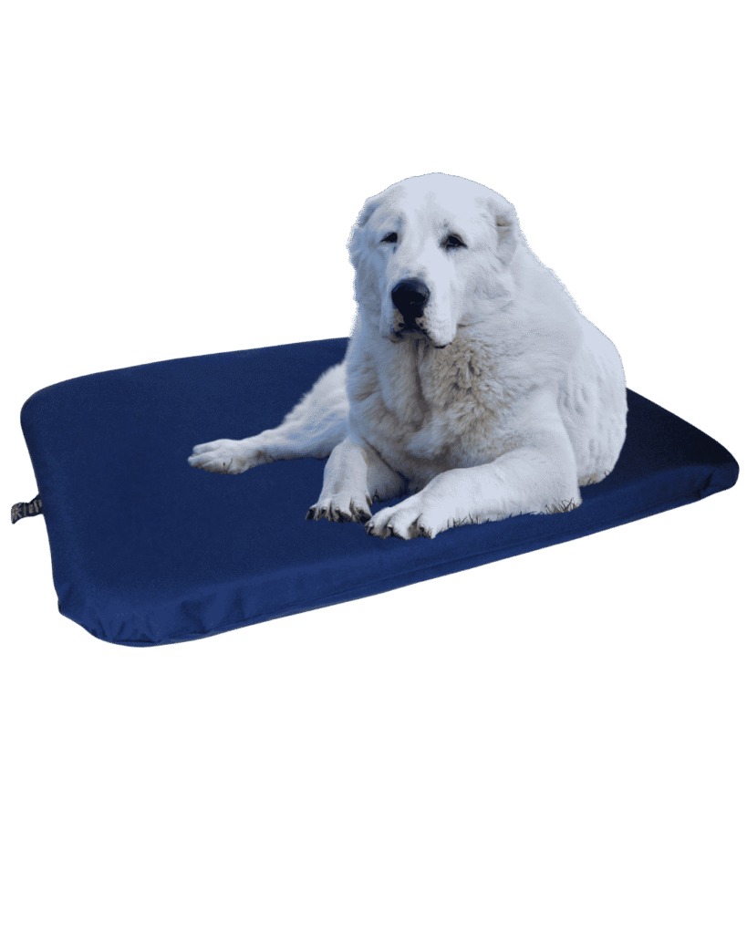 Alabai Dog Beds