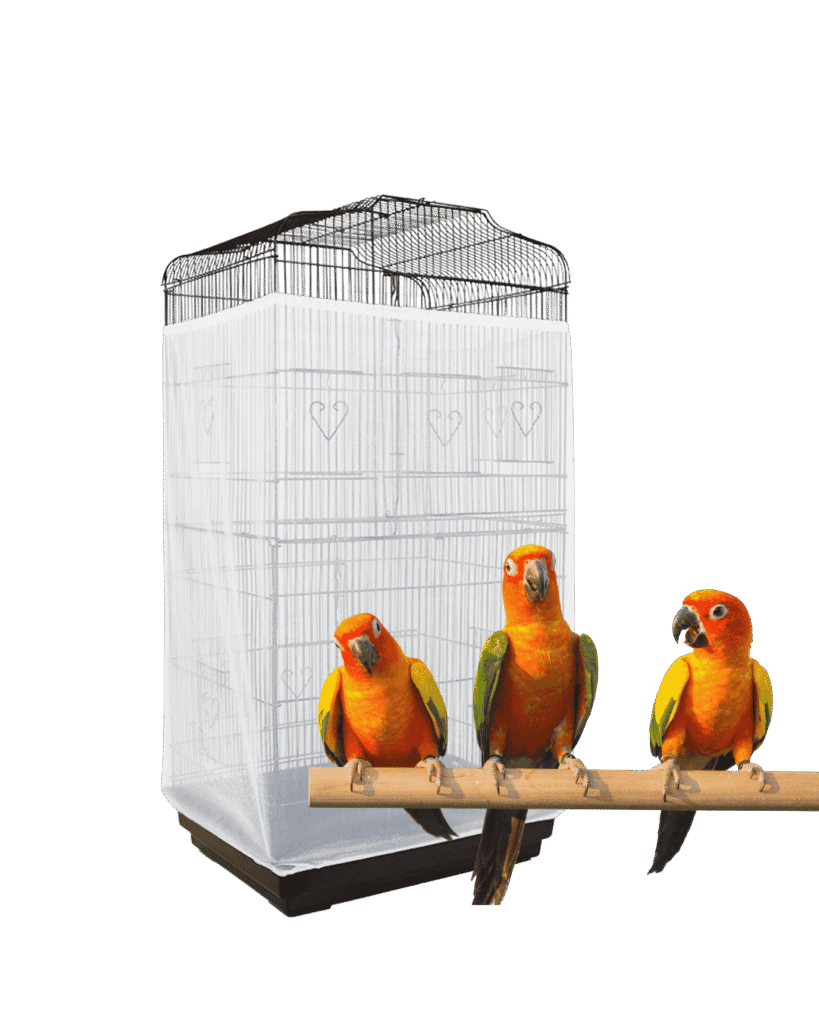 Bird Cage Liners